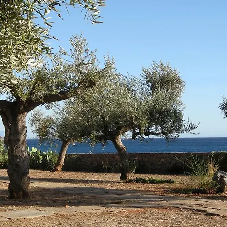 Salvia Villa