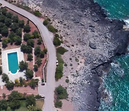 萨尔维阿别墅 别墅 *